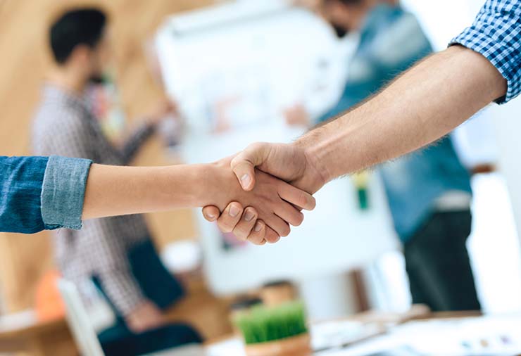 undergraduate education