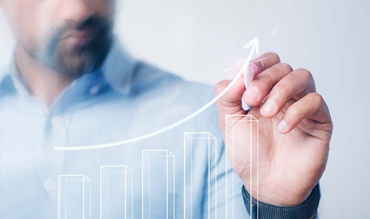 undergraduate education