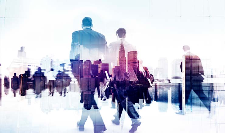 undergraduate education